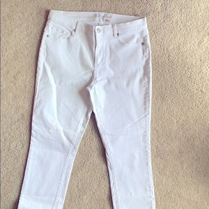 Loft Modern Skinny Jeans